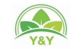 CГ�NG TY Cб�� PHбє�N Y&Y GROUP