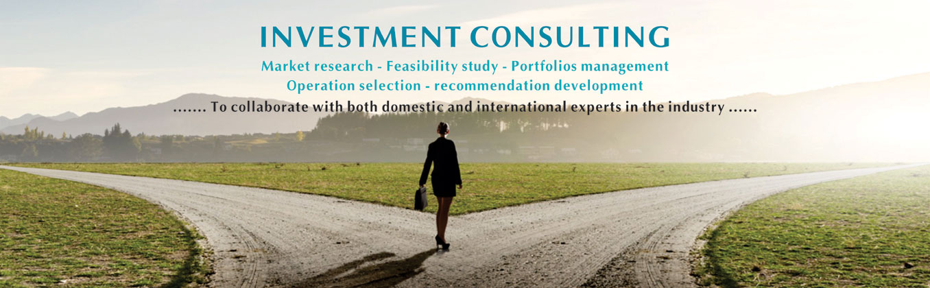 DCF VIETNAM - INVESTMENT CONSULTING